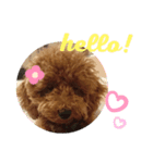 ティナのスタンプ14（個別スタンプ：4）
