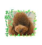 ティナのスタンプ14（個別スタンプ：5）