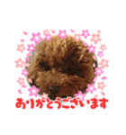ティナのスタンプ14（個別スタンプ：7）