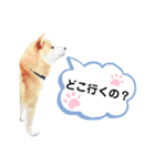 竜愛くんスタンプ（個別スタンプ：3）