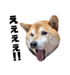 竜愛くんスタンプ（個別スタンプ：14）