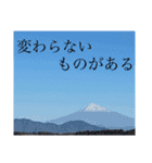 は？てんこう（個別スタンプ：11）