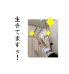 は？てんこう（個別スタンプ：15）