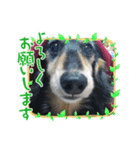 RUNRecord（個別スタンプ：1）