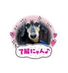 RUNRecord（個別スタンプ：2）