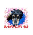RUNRecord（個別スタンプ：3）