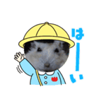 イエロージャンガリアンこたろう2（個別スタンプ：8）