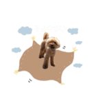いっぬのSTAMP（個別スタンプ：4）