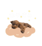 いっぬのSTAMP（個別スタンプ：15）
