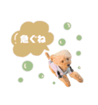 いっぬのSTAMP（個別スタンプ：19）