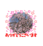 春ですね♪♪（個別スタンプ：11）