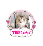 Pスタイル6（個別スタンプ：1）
