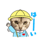 Pスタイル6（個別スタンプ：3）