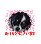 Pスタイル6（個別スタンプ：5）
