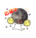 Pスタイル6（個別スタンプ：6）