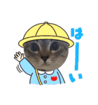 フレーム色々（個別スタンプ：1）