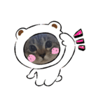 フレーム色々（個別スタンプ：3）