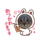フレーム色々（個別スタンプ：5）