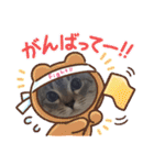 フレーム色々（個別スタンプ：8）