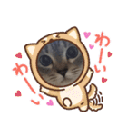 フレーム色々（個別スタンプ：9）