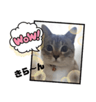 フレーム色々（個別スタンプ：12）