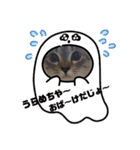 フレーム色々（個別スタンプ：16）