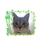 フレーム色々（個別スタンプ：18）