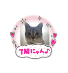 フレーム色々（個別スタンプ：29）