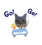 フレーム色々（個別スタンプ：33）
