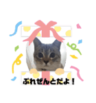 フレーム色々（個別スタンプ：38）