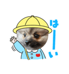 トイプーモカちゃんとポメくぅちゃん（個別スタンプ：1）