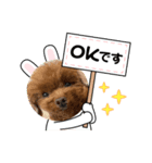 トイプーモカちゃんとポメくぅちゃん（個別スタンプ：6）