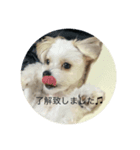マルチワ⑅︎◡̈︎*スタンプ（個別スタンプ：5）
