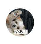 マルチワ⑅︎◡̈︎*スタンプ（個別スタンプ：6）