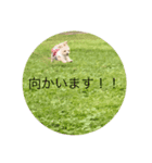 マルチワ⑅︎◡̈︎*スタンプ（個別スタンプ：8）