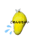 我が家のセキセイインコのスタンプ（個別スタンプ：8）