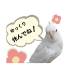 お大事スタンプ（個別スタンプ：1）