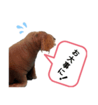 お大事スタンプ（個別スタンプ：2）