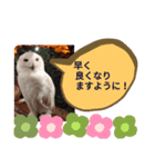 お大事スタンプ（個別スタンプ：3）