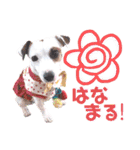 愛犬♡ハナコのスタンプ9（個別スタンプ：2）