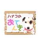 愛犬♡ハナコのスタンプ9（個別スタンプ：17）