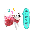 愛犬♡ハナコのスタンプ9（個別スタンプ：24）