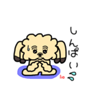 もじゃもこ犬の挨拶スタンプ（個別スタンプ：22）