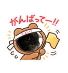 ウサギのあいさつスタンプ（個別スタンプ：4）