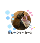 ツンデレふく 2（個別スタンプ：7）