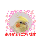 うちのカワイイちびっこたちPart7（個別スタンプ：3）