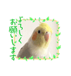 うちのカワイイちびっこたちPart7（個別スタンプ：5）