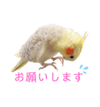 うちのカワイイちびっこたちPart7（個別スタンプ：6）