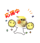 うちのカワイイちびっこたちPart7（個別スタンプ：8）