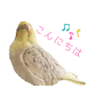 うちのカワイイちびっこたちPart7（個別スタンプ：10）